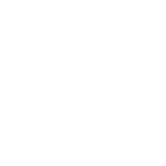Netra Global