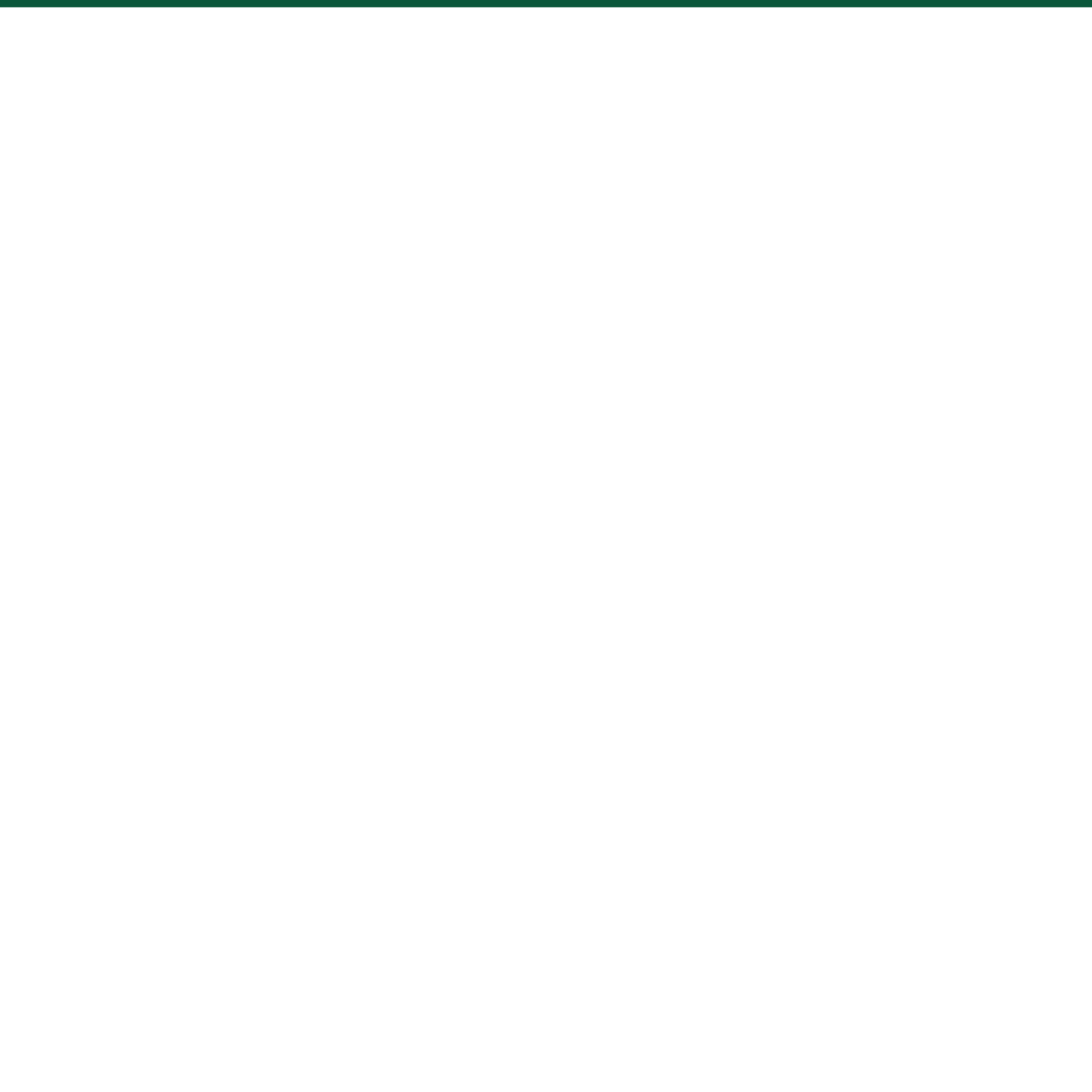 Netra Global