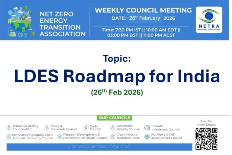 LDES Roadmap for India